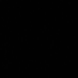 Meet your Posher, Natali